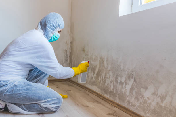 Licensed Bathroom Mold Removal service in Charlevoix, MI - WQB Mold Removal