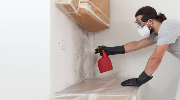 Professional Bathroom Mold Removal technician working in Charlevoix, MI