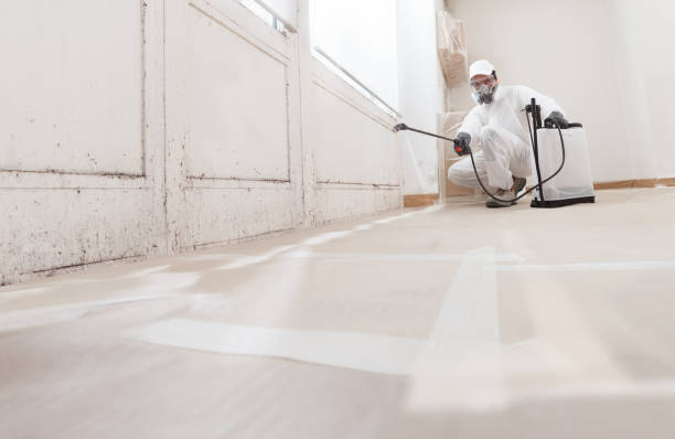 24/7 Emergency Bathroom Mold Removal experts in Charlevoix, MI