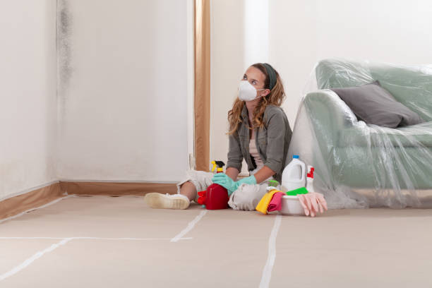 Reliable Bathroom Mold Removal contractor in Charlevoix, MI by WQB Mold Removal